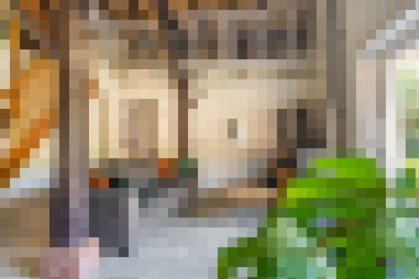 Schoolstraat 137 Vlagtwedde thumbnail 21