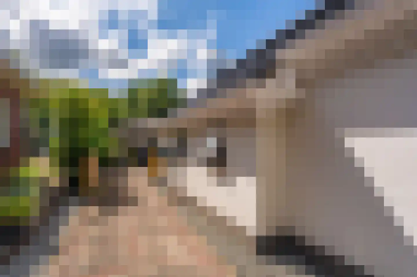 Schoolstraat 137 Vlagtwedde thumbnail 7