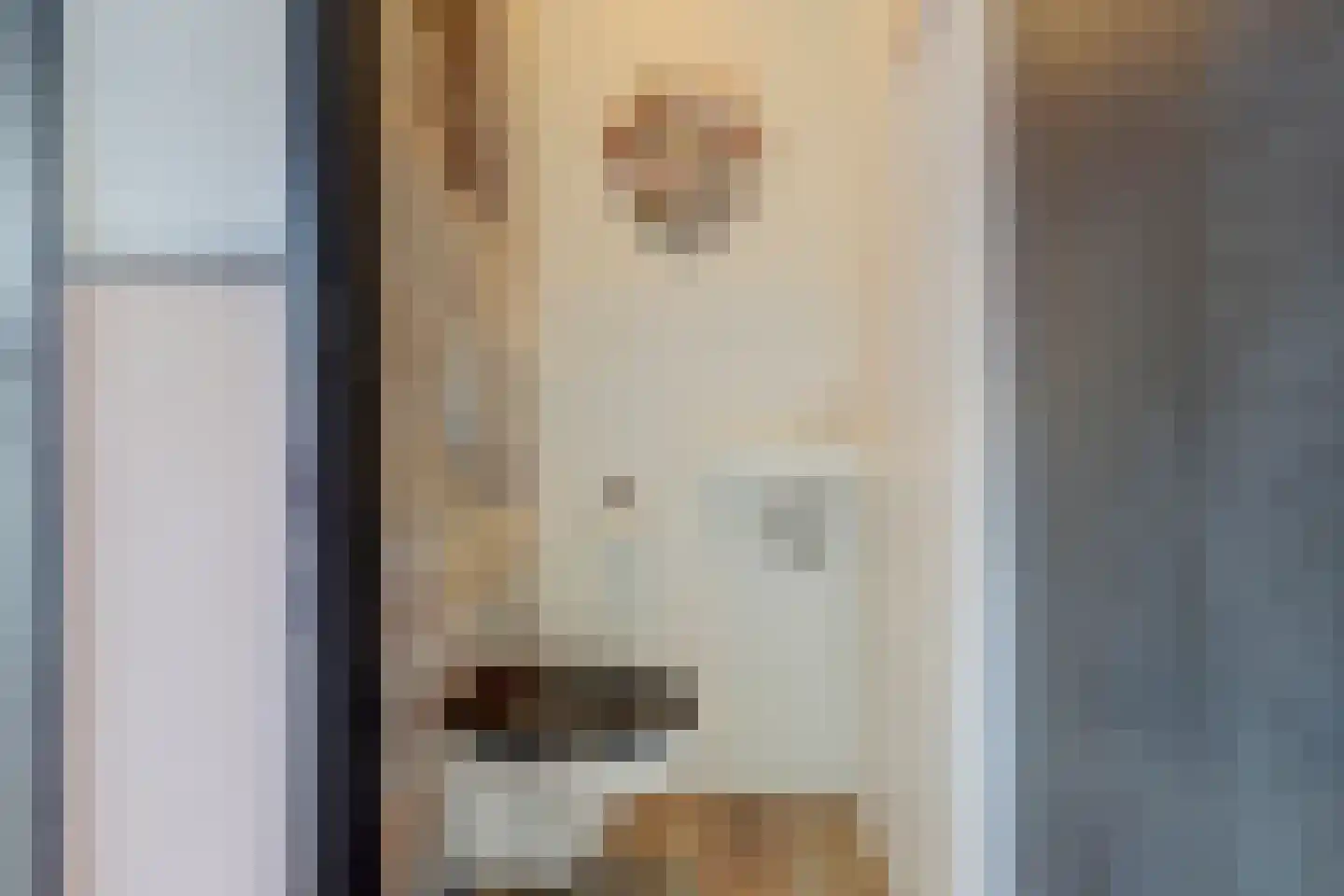Schoolstraat 14 De Lier thumbnail 11
