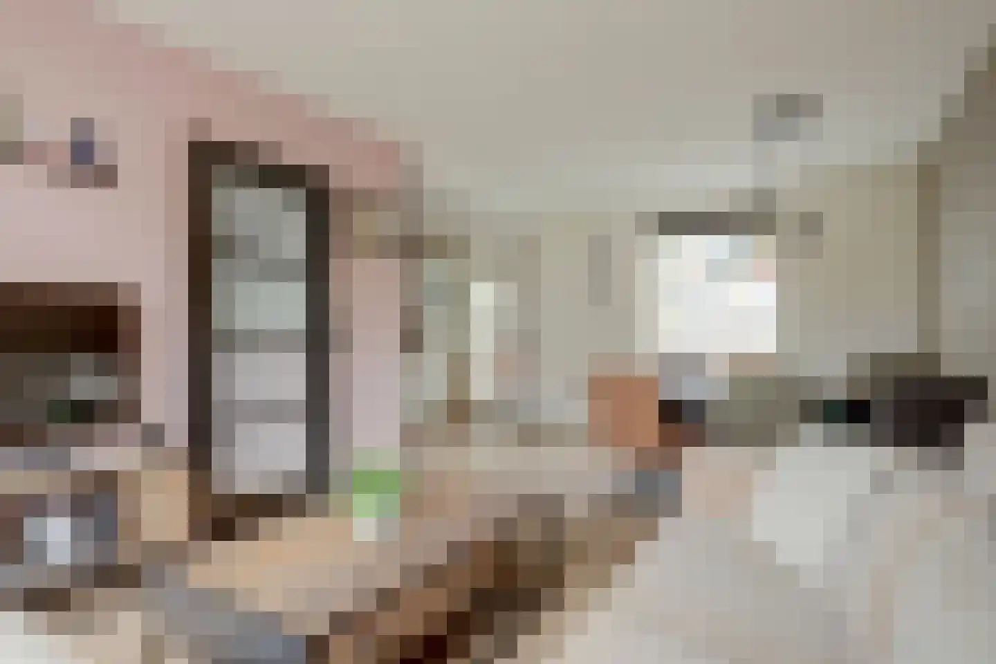 Schoolstraat 14 De Lier thumbnail 14