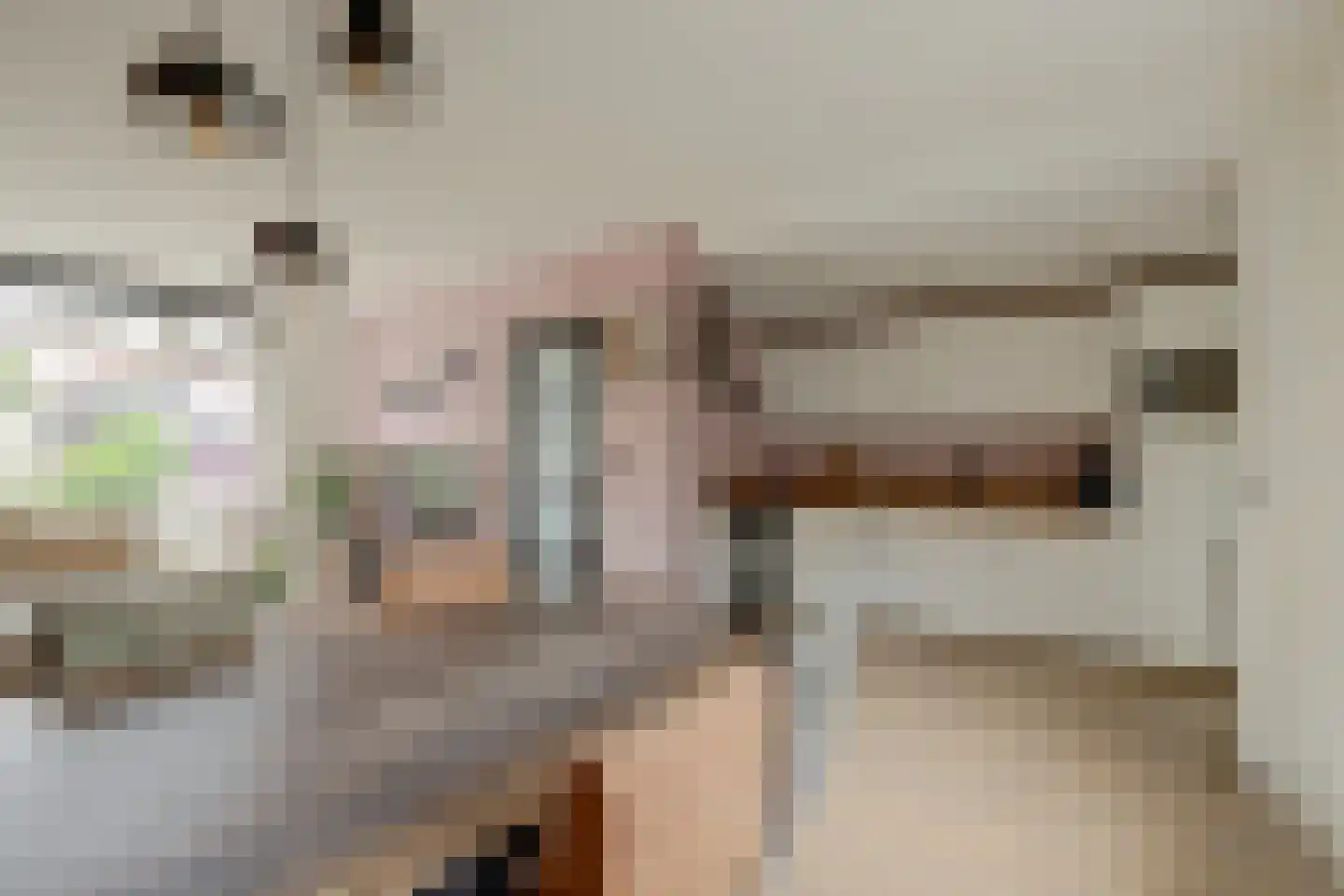Schoolstraat 14 De Lier thumbnail 16