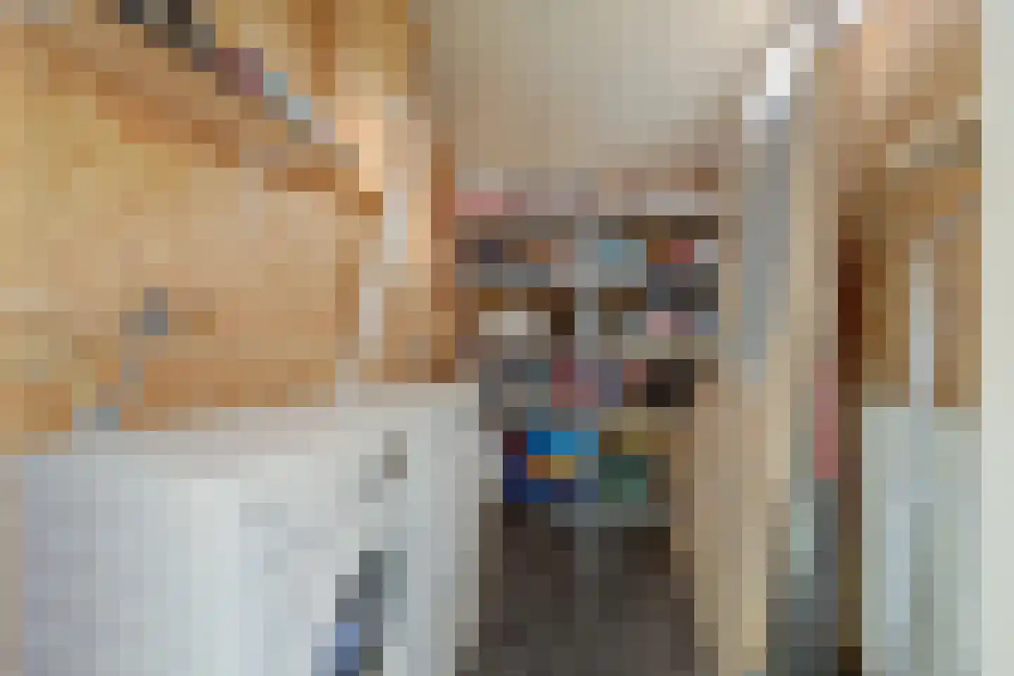 Schoolstraat 14 De Lier thumbnail 22