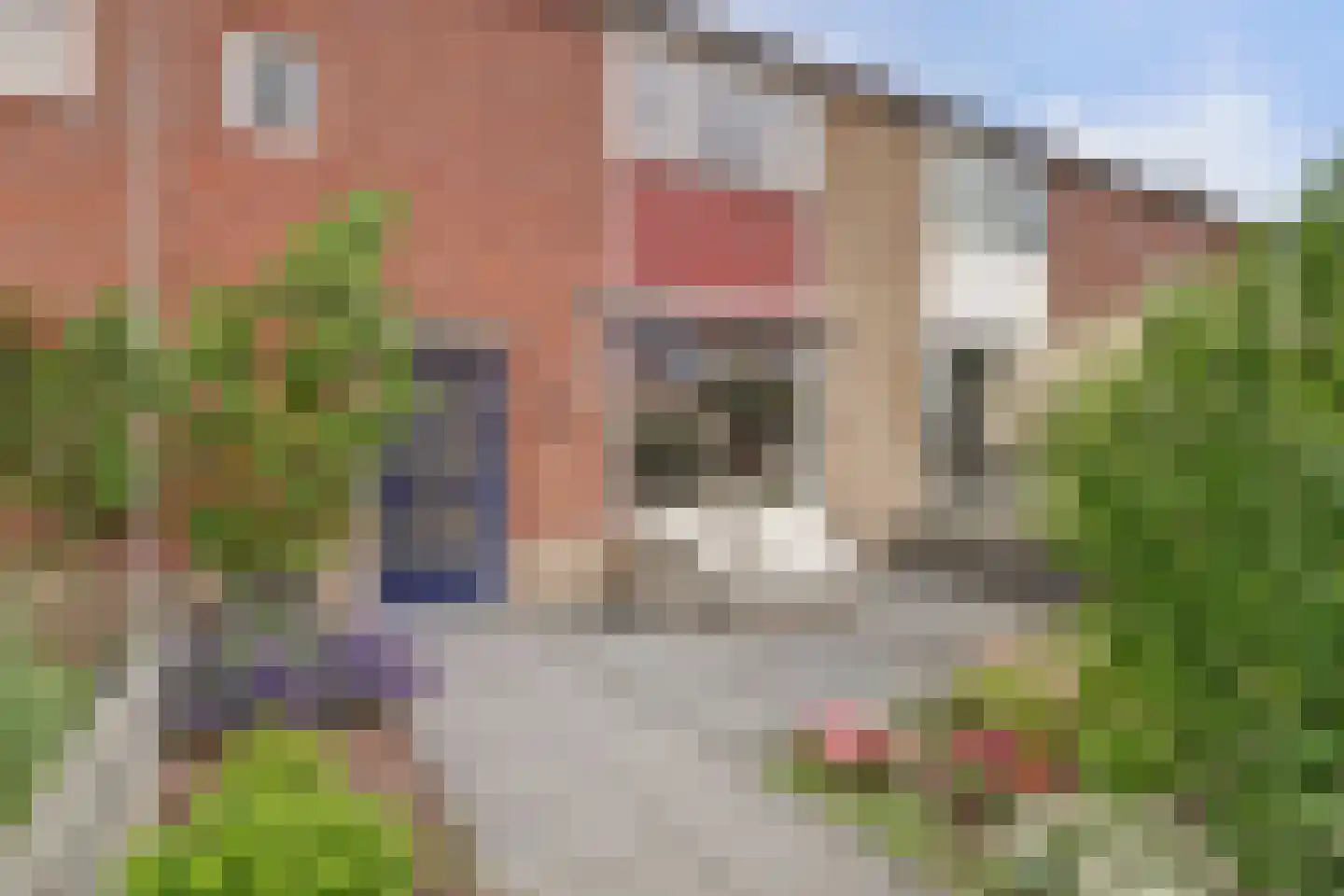 Schoolstraat 14 De Lier thumbnail 8