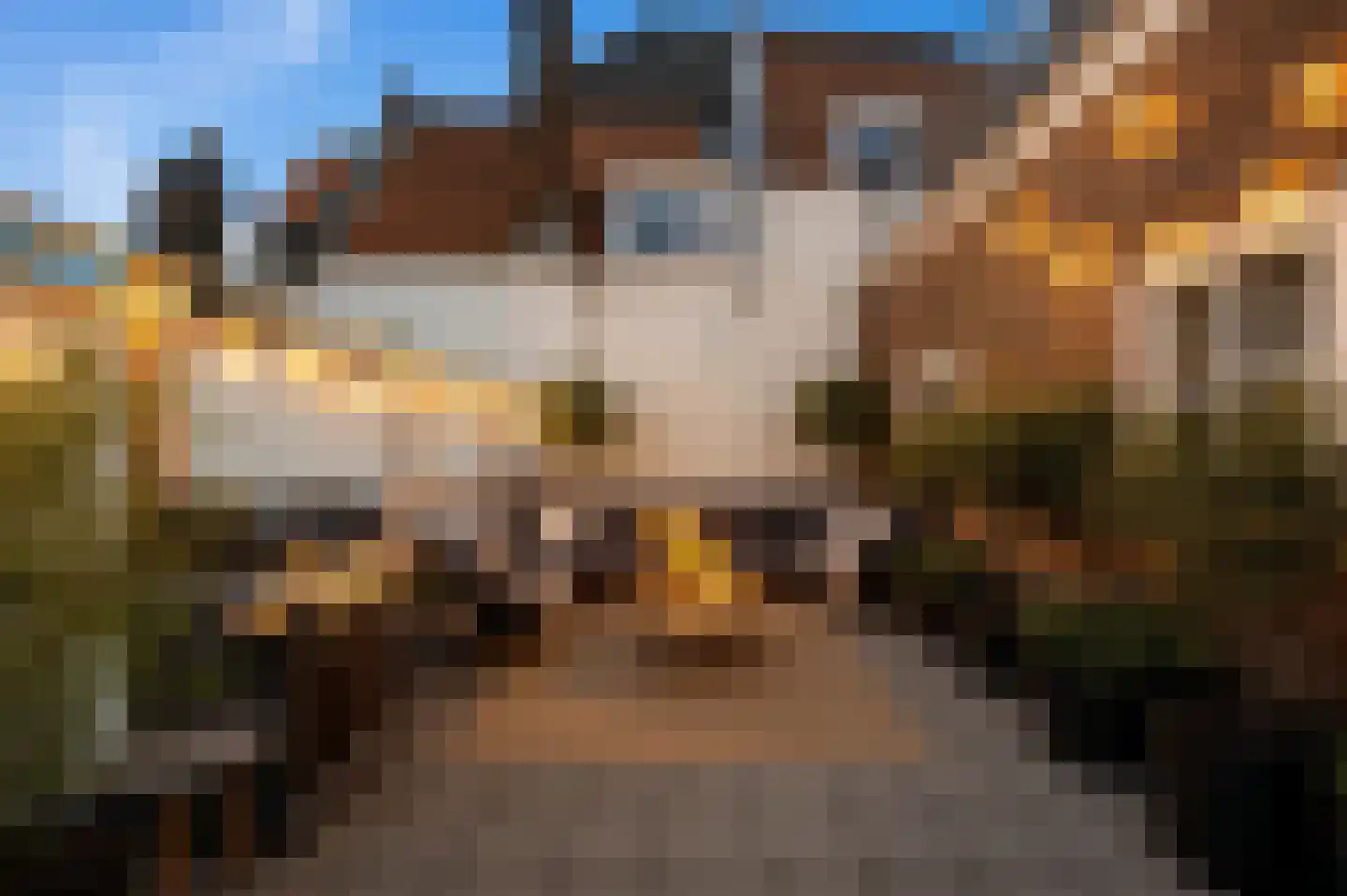 Schoolstraat 14 Den Haag thumbnail 17