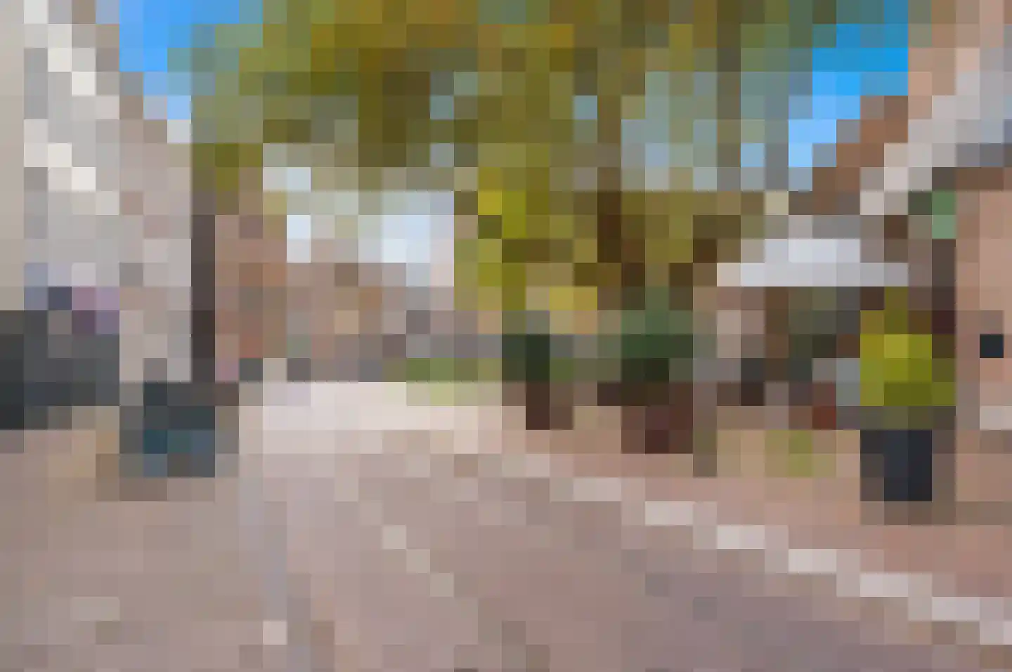 Schoolstraat 14 Den Haag thumbnail 39