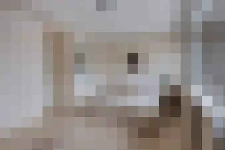 Schoolstraat 14 Horn thumbnail 19