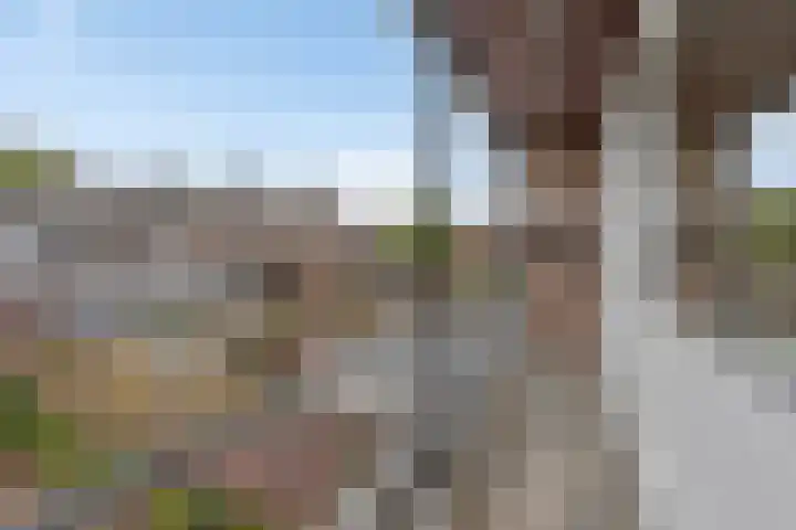 Schoolstraat 14 Horn thumbnail 21