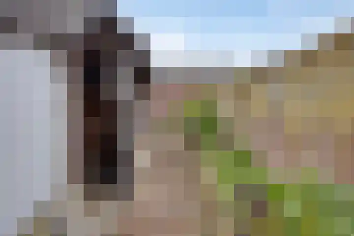 Schoolstraat 14 Horn thumbnail 31