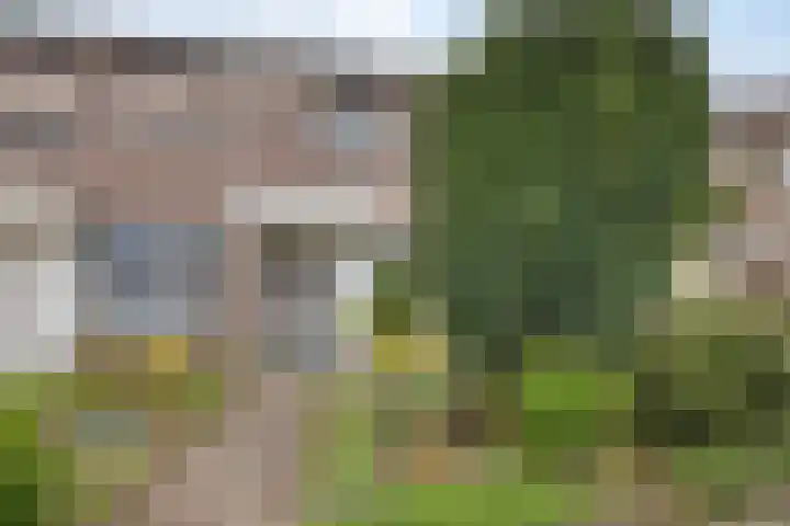 Schoolstraat 14 Horn thumbnail 32
