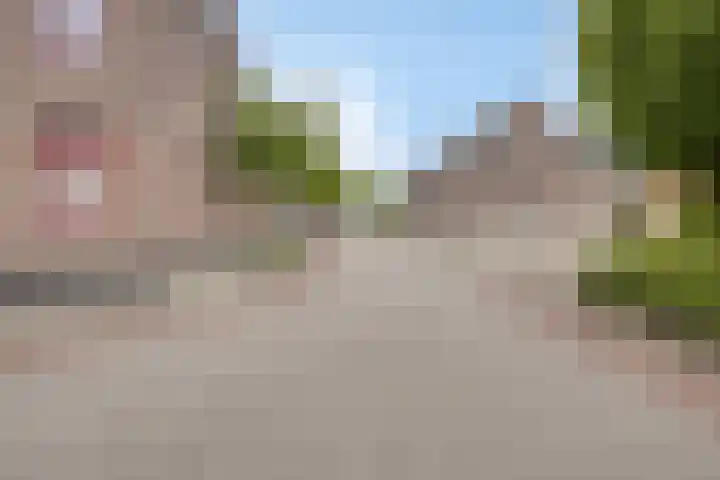 Schoolstraat 14 Horn thumbnail 34