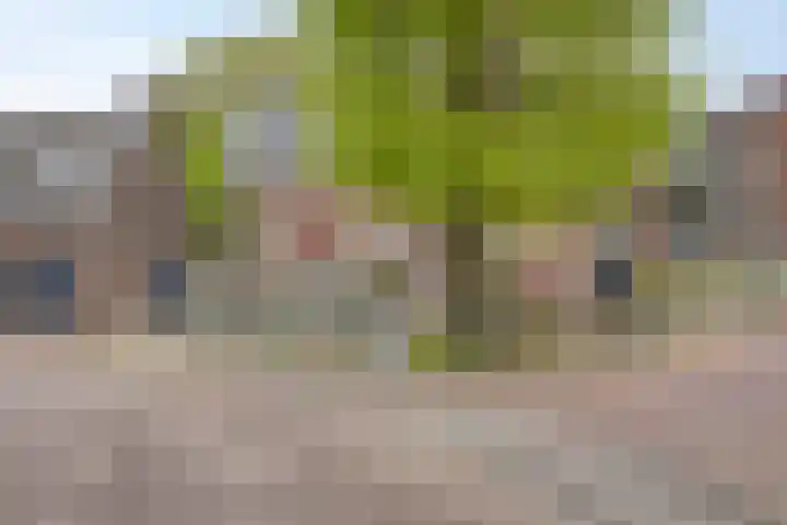 Schoolstraat 14 Horn thumbnail 38