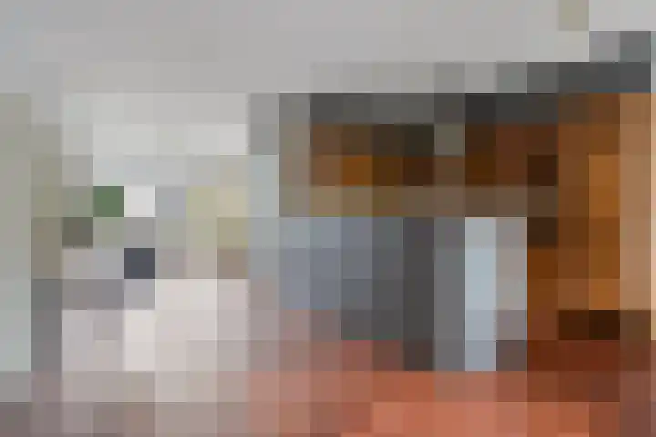 Schoolstraat 14 Horn thumbnail 7