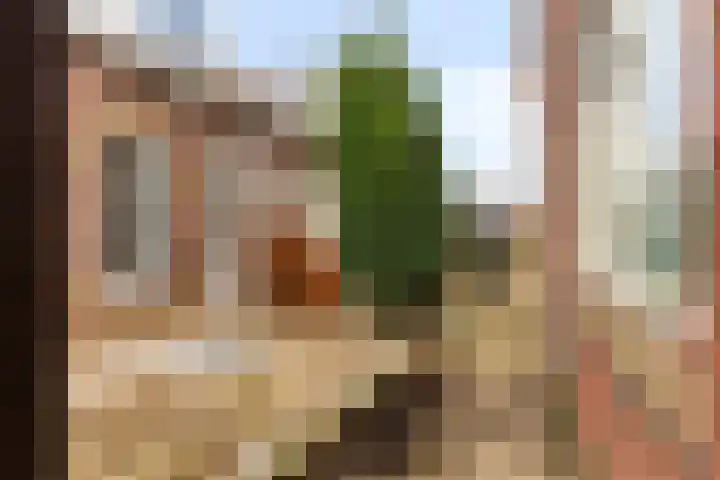 Schoolstraat 14 Middelharnis thumbnail 30