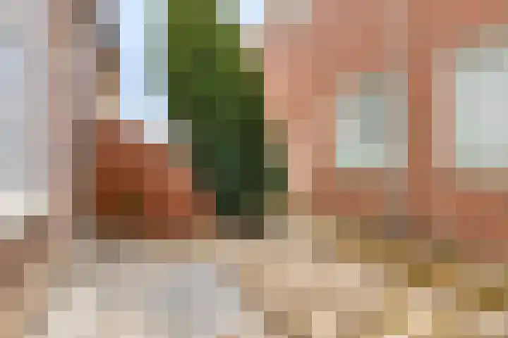 Schoolstraat 14 Middelharnis thumbnail 33