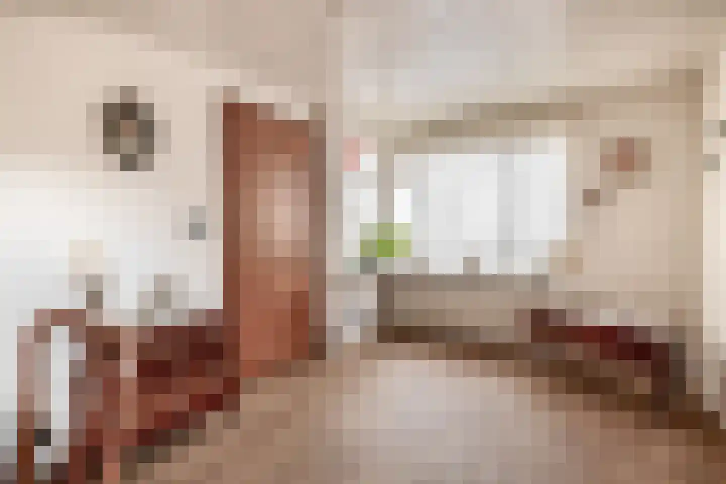 Schoolstraat 14 Musselkanaal thumbnail 15