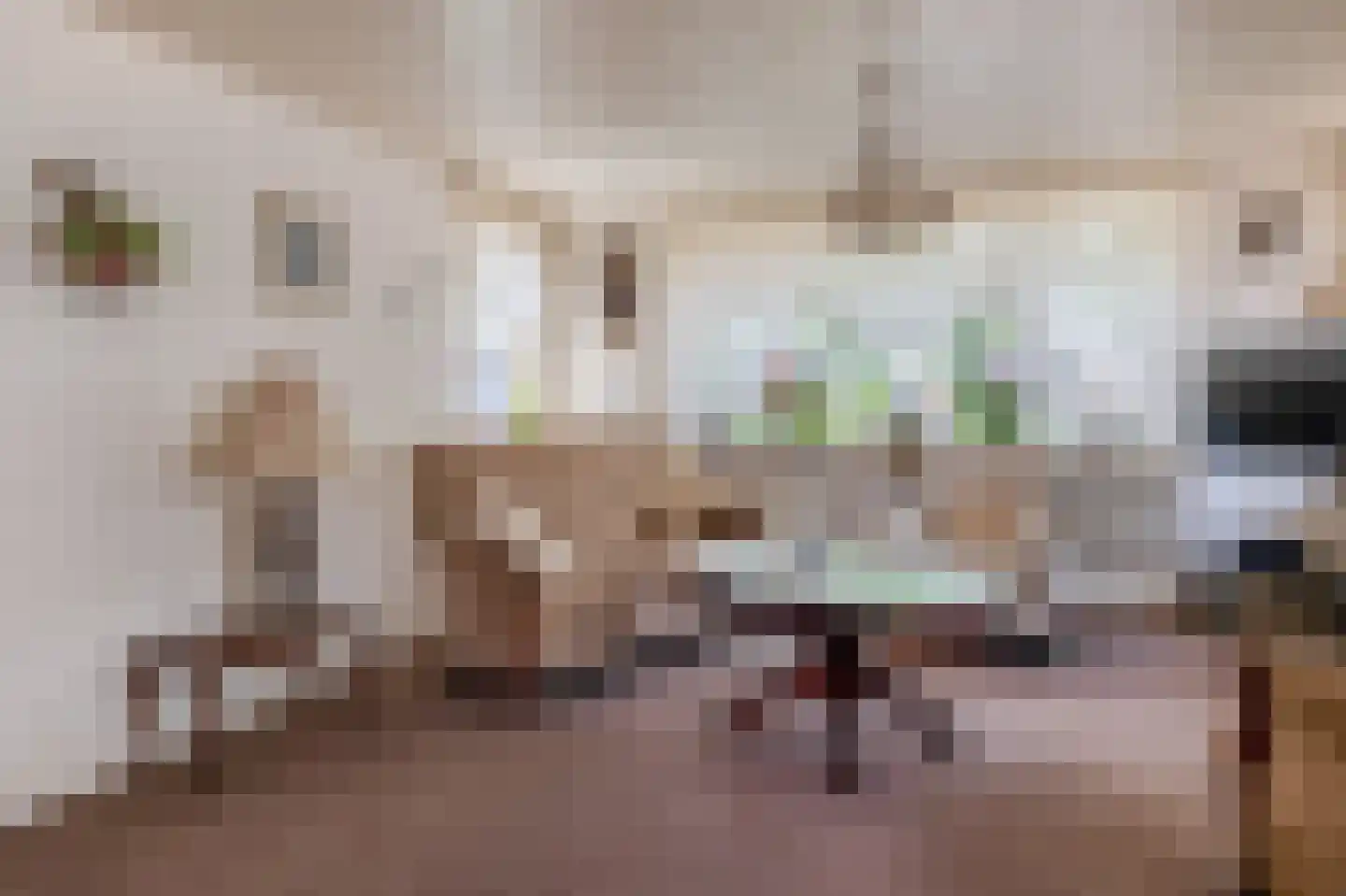 Schoolstraat 14 Musselkanaal thumbnail 20