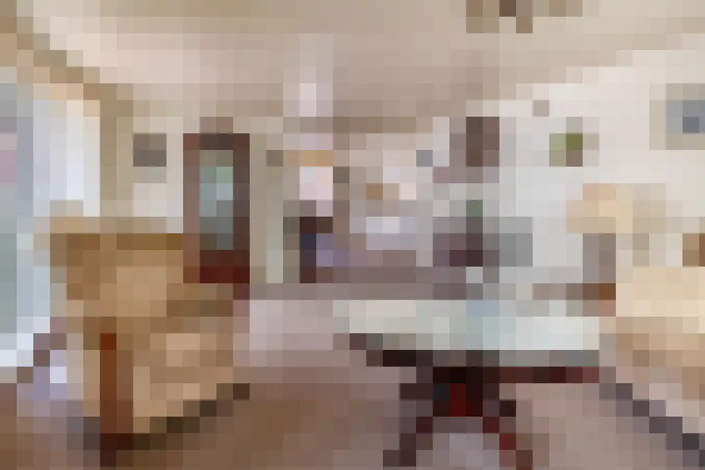 Schoolstraat 14 Musselkanaal thumbnail 21