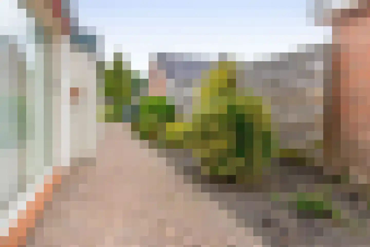 Schoolstraat 14 Musselkanaal thumbnail 36