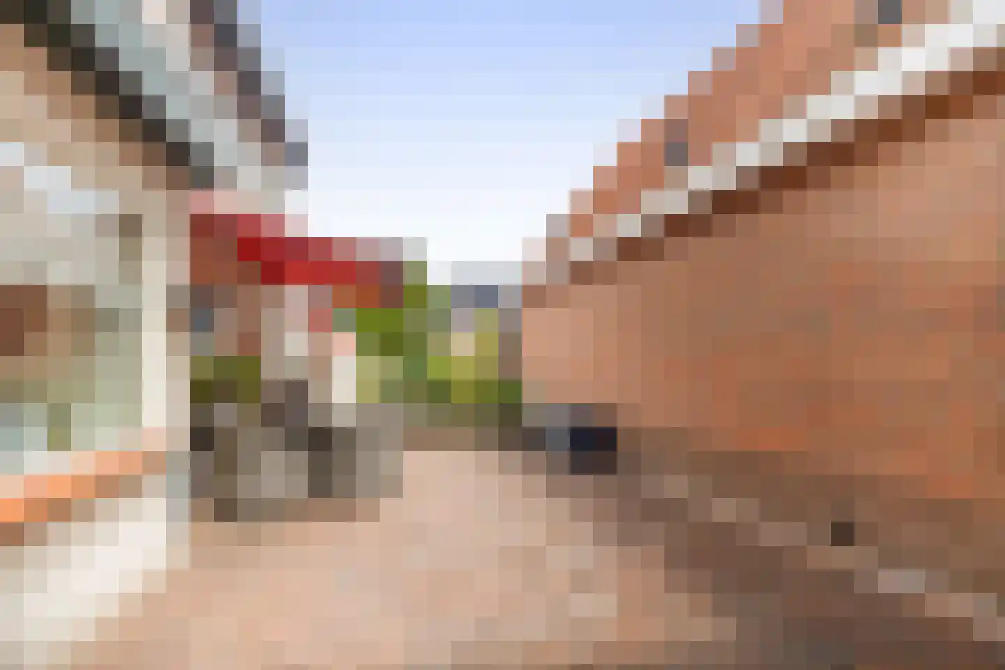 Schoolstraat 14 Musselkanaal thumbnail 37