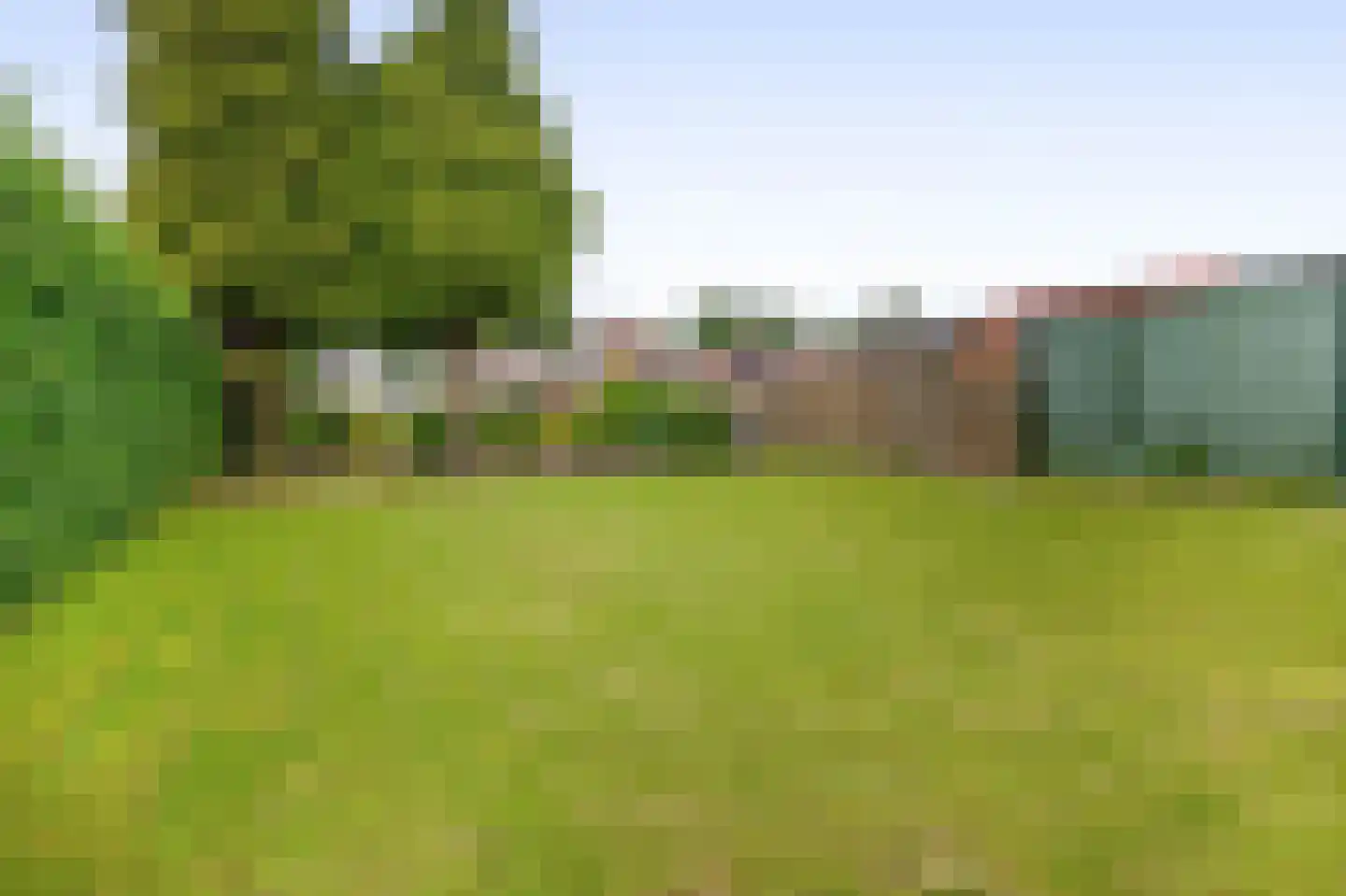 Schoolstraat 14 Musselkanaal thumbnail 4