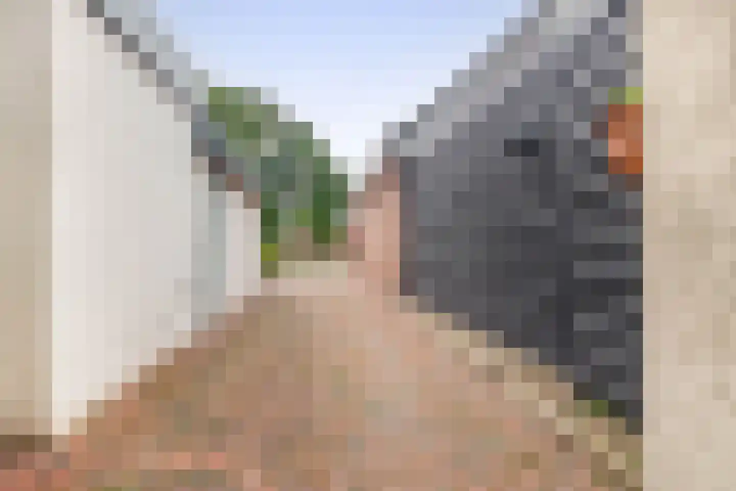Schoolstraat 14 Musselkanaal thumbnail 42