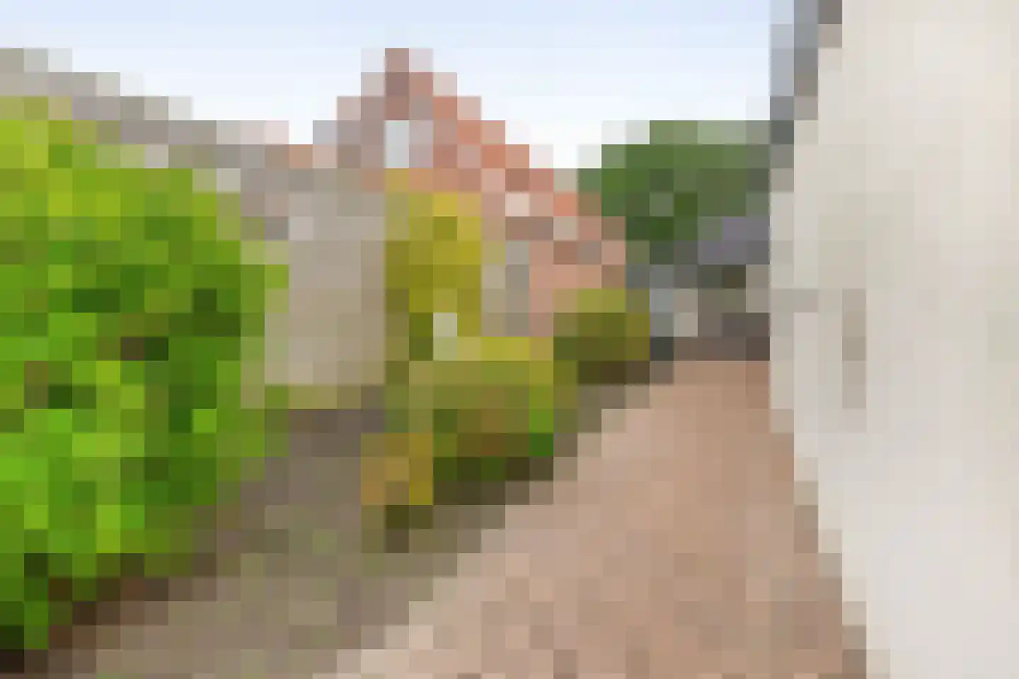 Schoolstraat 14 Musselkanaal thumbnail 43