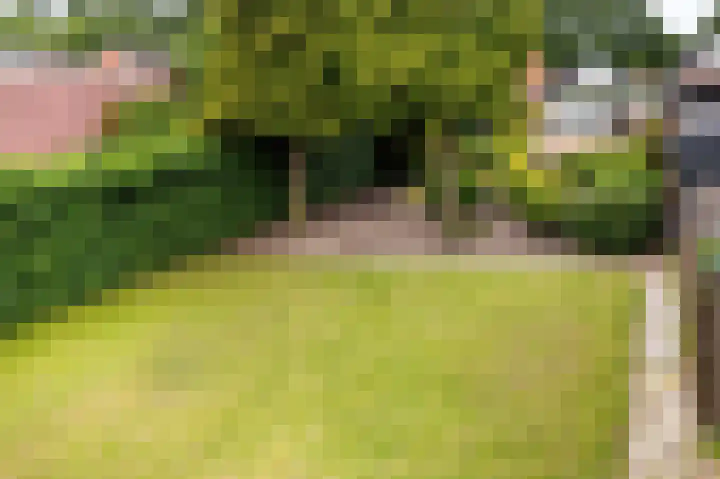 Schoolstraat 14 Musselkanaal thumbnail 45
