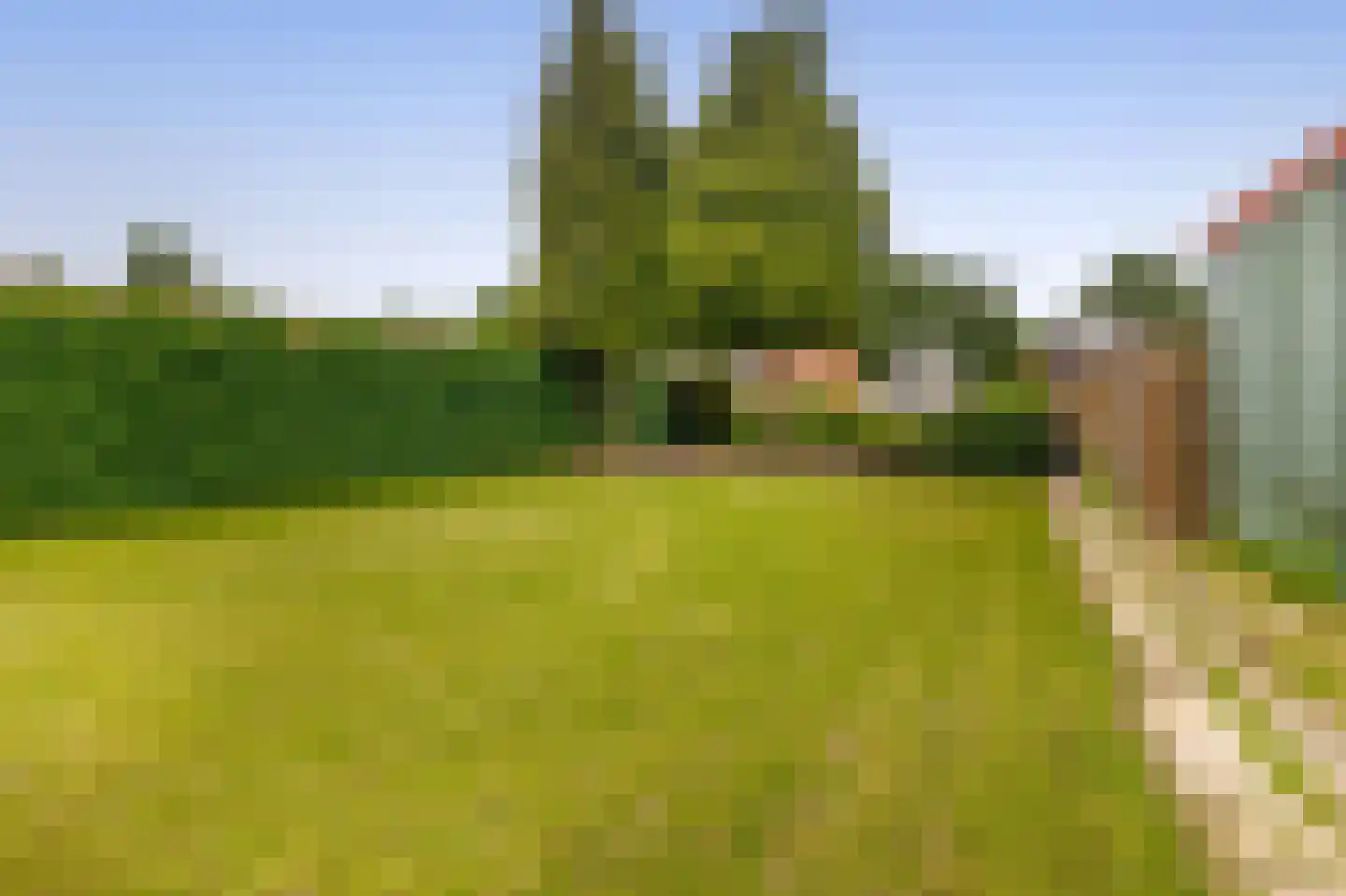 Schoolstraat 14 Musselkanaal thumbnail 46