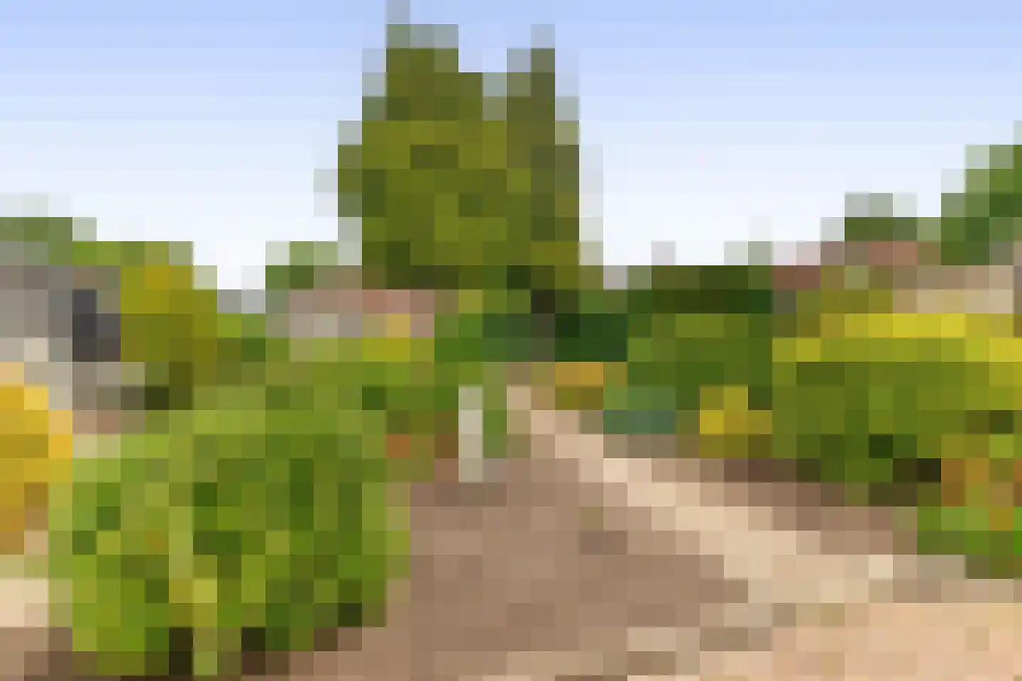 Schoolstraat 14 Musselkanaal thumbnail 47