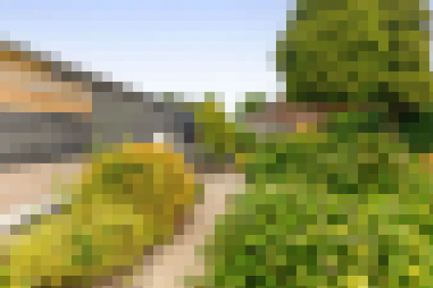 Schoolstraat 14 Musselkanaal thumbnail 48