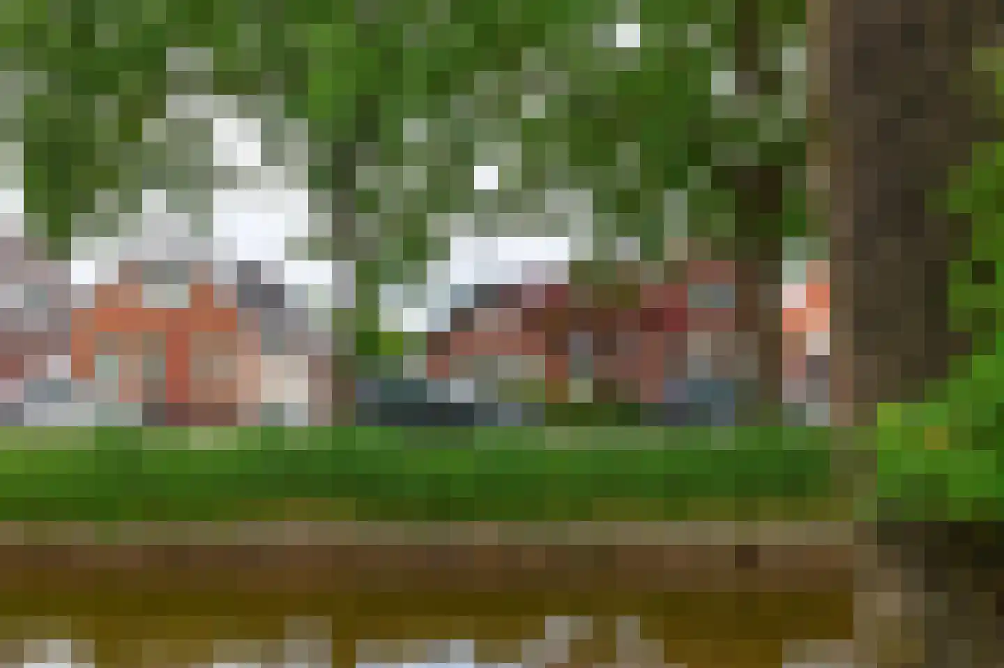 Schoolstraat 14 Musselkanaal thumbnail 50