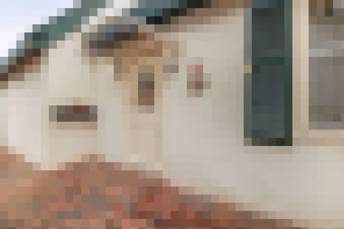 Schoolstraat 14 Musselkanaal thumbnail 9