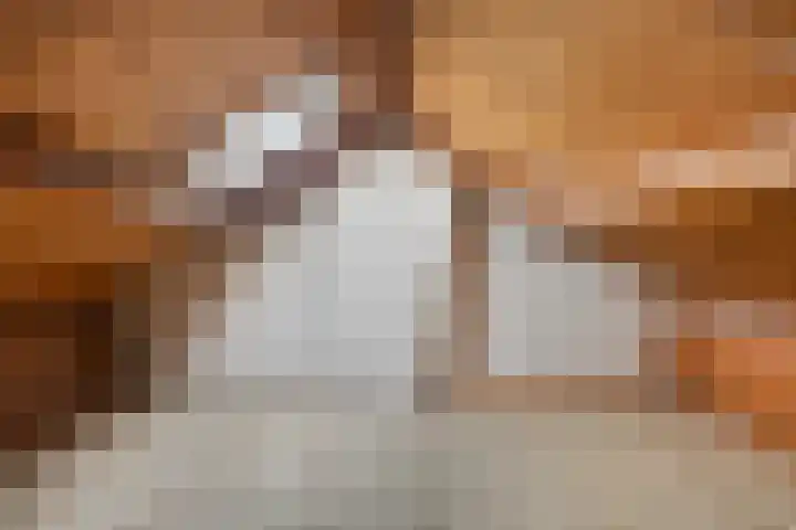 Schoolstraat 14 Nuland thumbnail 27