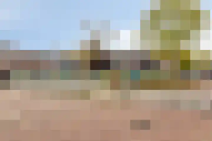 Schoolstraat 14 Nuland thumbnail 35