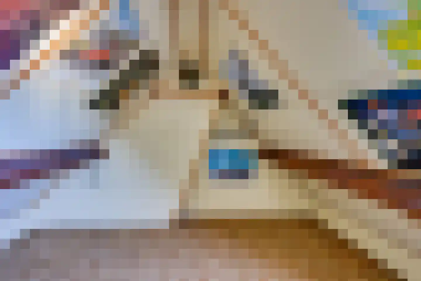 Schoolstraat 14 Sleeuwijk thumbnail 20