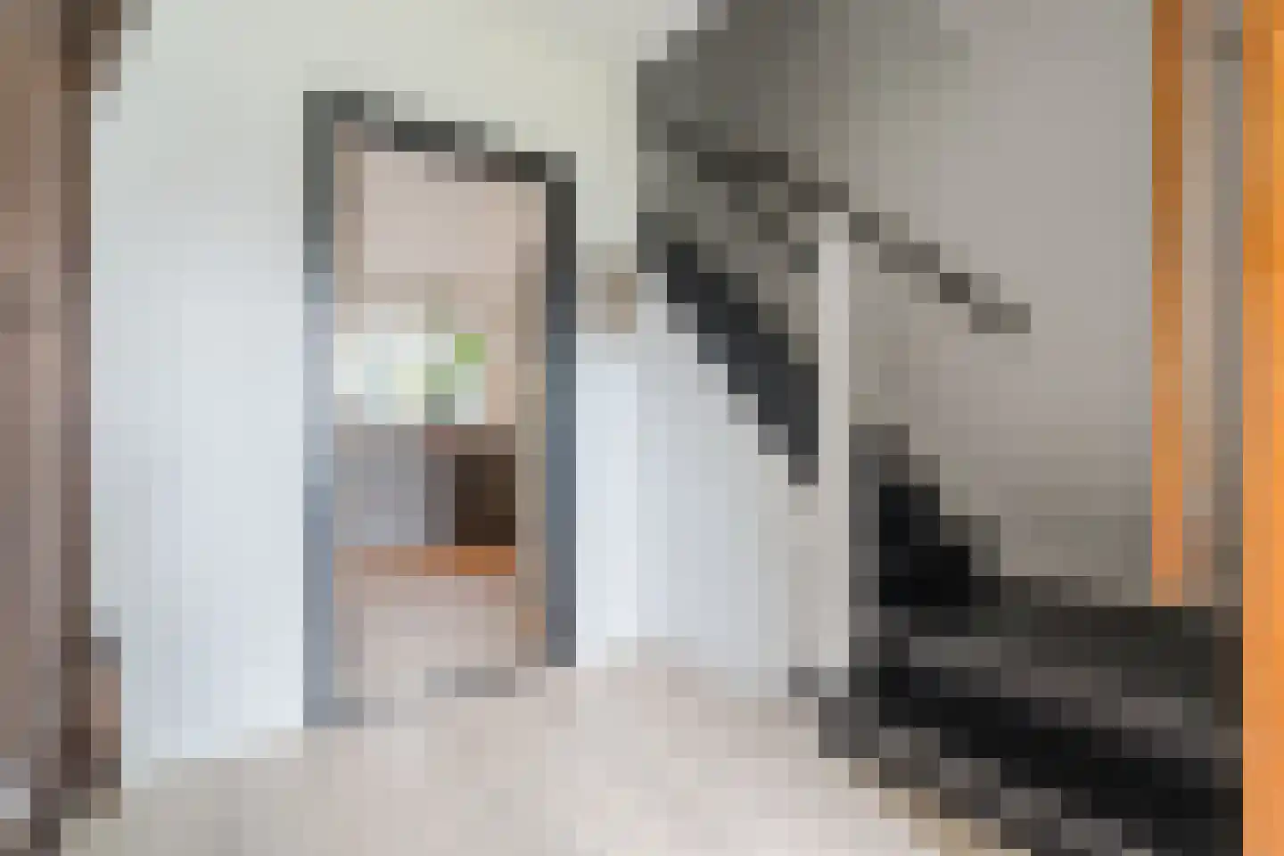 Schoolstraat 14 Volkel thumbnail 6