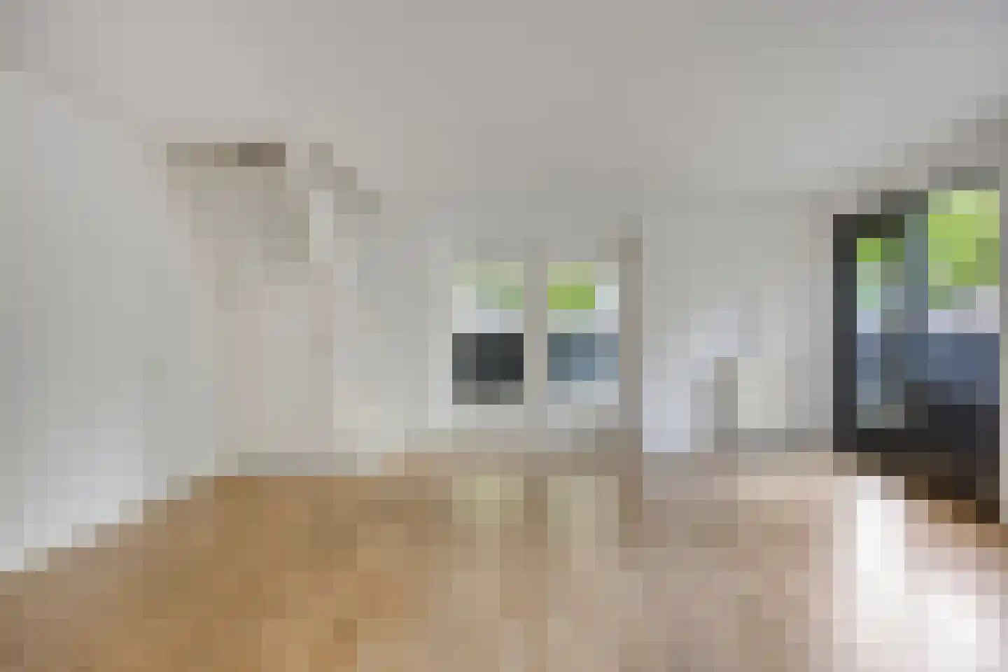 Schoolstraat 145 Tilburg thumbnail 13
