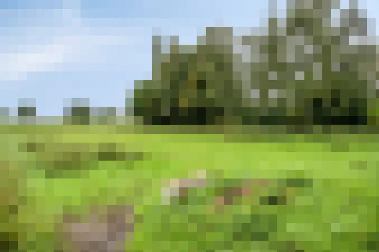 Schoolstraat 146 Musselkanaal thumbnail 33