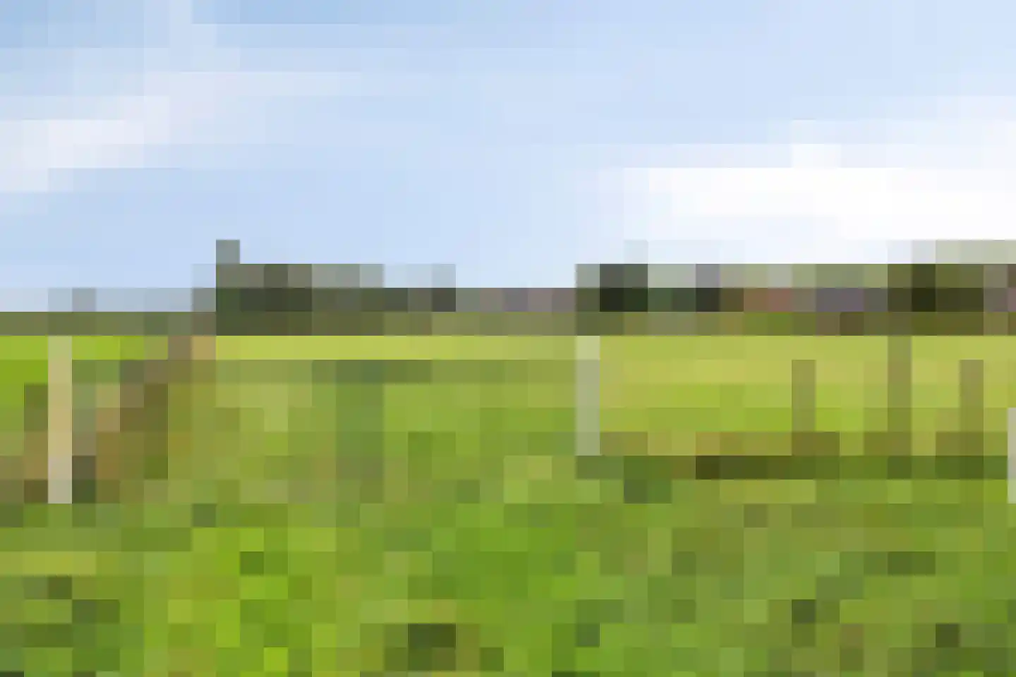 Schoolstraat 146 Musselkanaal thumbnail 36