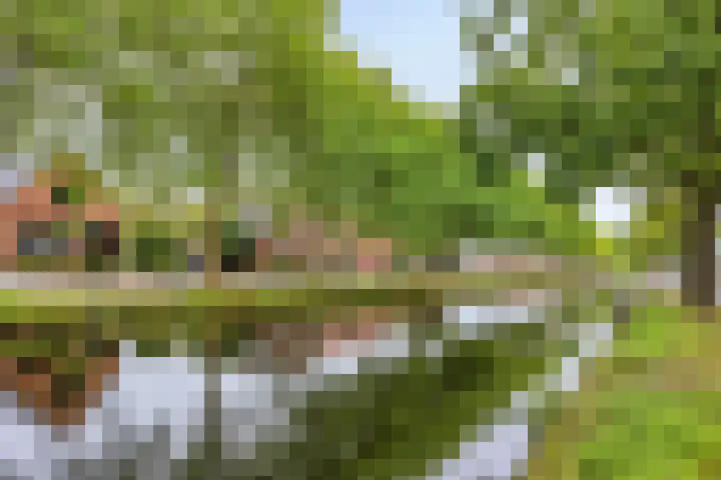 Schoolstraat 146 Musselkanaal thumbnail 4