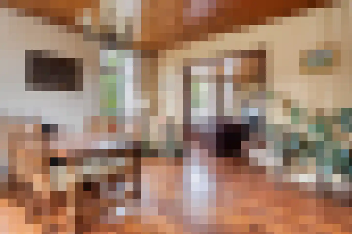 Schoolstraat 146 Musselkanaal thumbnail 8