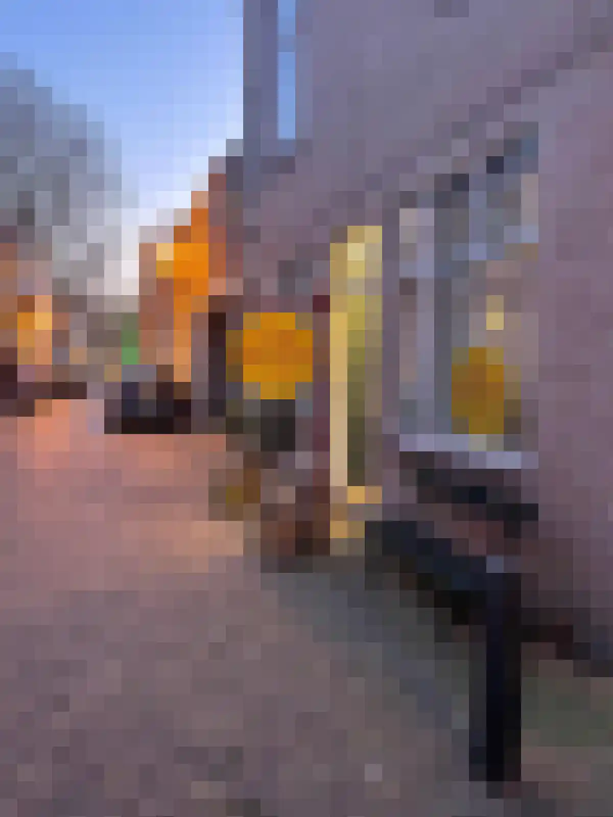Schoolstraat 15 A Wassenaar thumbnail 13
