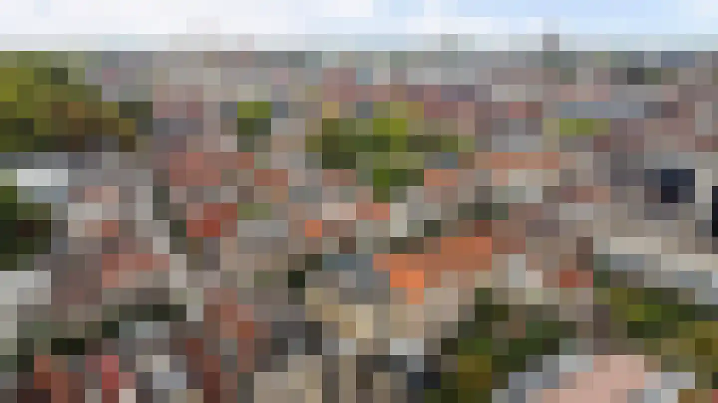 Schoolstraat 15 Dordrecht thumbnail 57