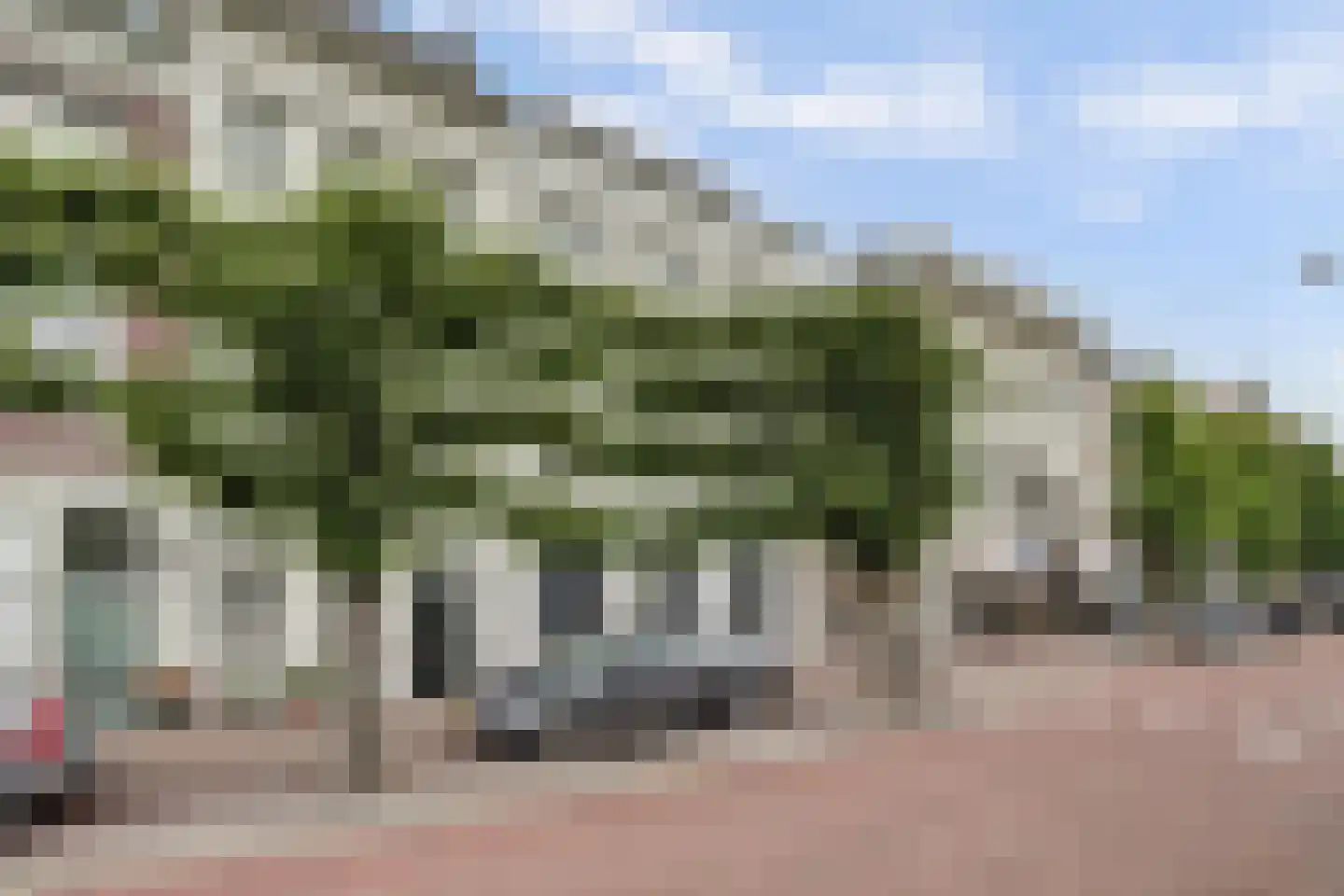 Schoolstraat 15 Dordrecht thumbnail 7