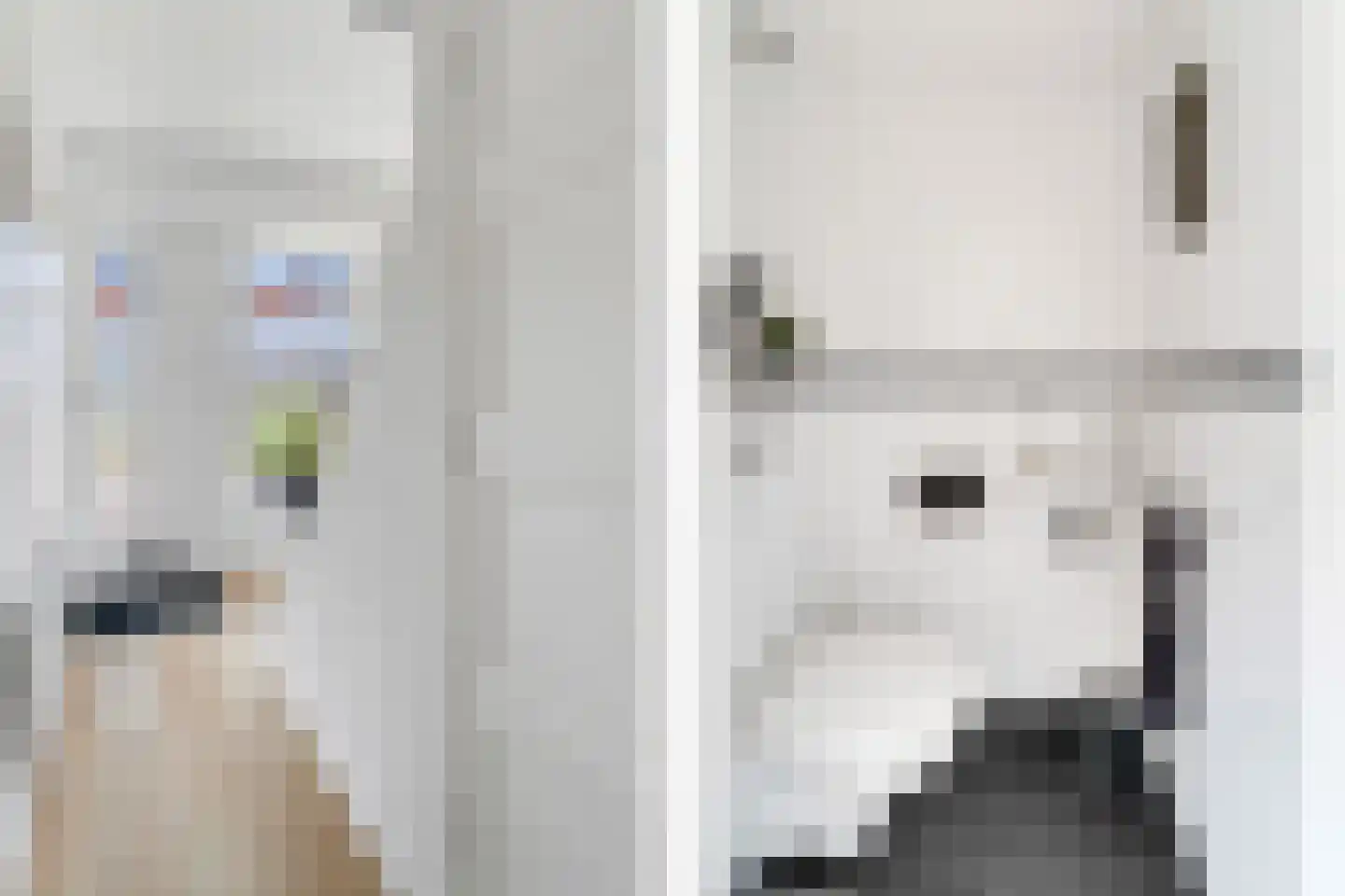Schoolstraat 15 Nijverdal thumbnail 11