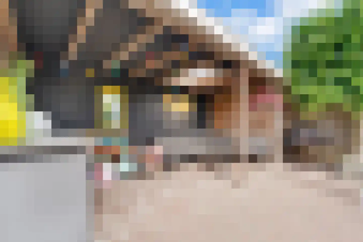 Schoolstraat 15 Nijverdal thumbnail 25
