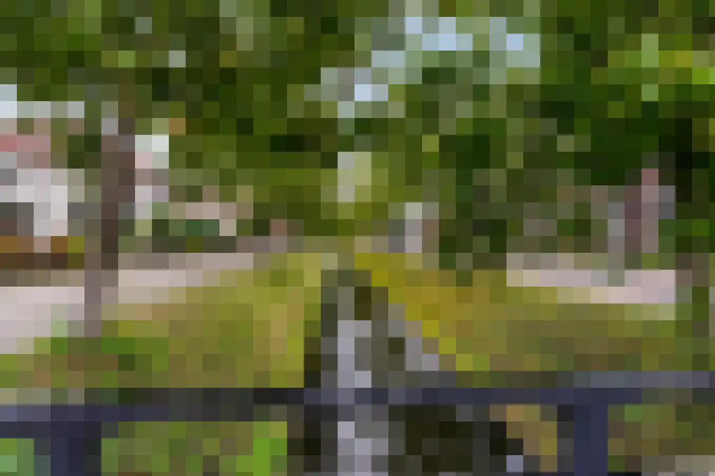 Schoolstraat 15 Sprang-Capelle thumbnail 41