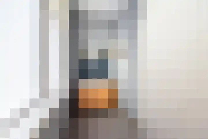Schoolstraat 15 Ulft thumbnail 29