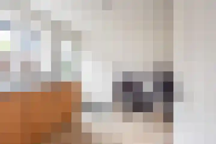 Schoolstraat 15 Ulft thumbnail 31