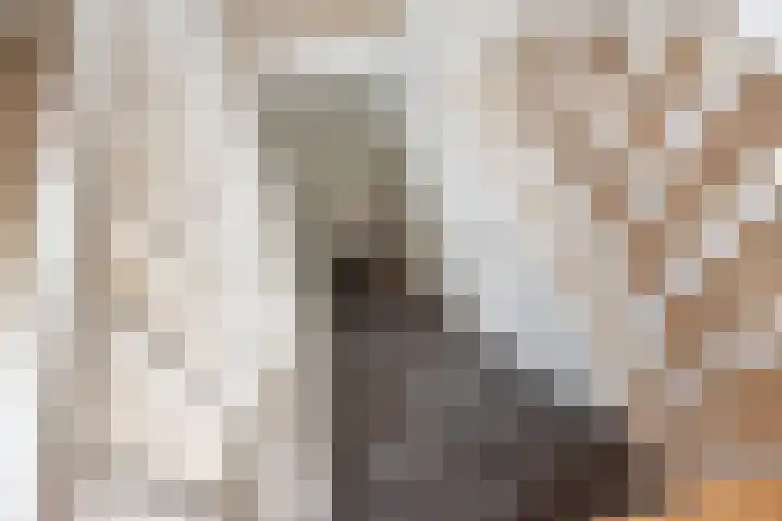 Schoolstraat 15 Ulft thumbnail 33